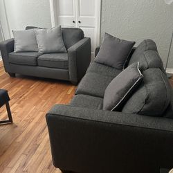 2 stylish couches and 2 decorative pillows 