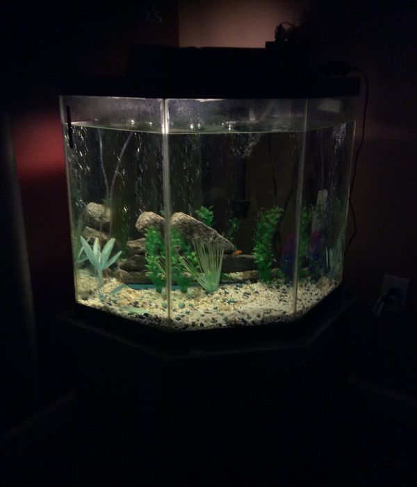 New And Used Fish Tanks For Sale In Lexington Ky Offerup fish tanks for sale in lexington ky