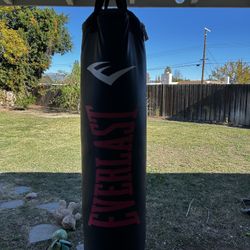 Everlast Punching Bag