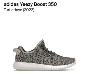 Yeezy Turtle Dive Size 6