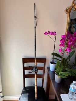 SAGE ROD With Daiwa 300 reel
