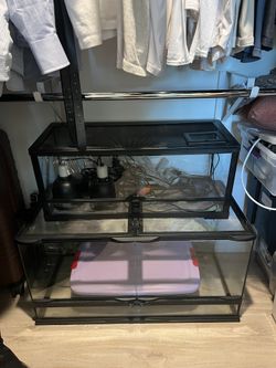 Terrarium Reptile Tanks
