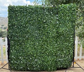 Green wall