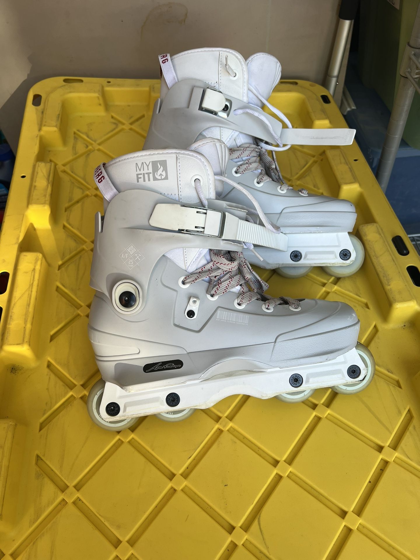USD Aaron Feinberg Pro Skates