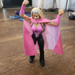 WWE Super Molly Holly Action Figure 