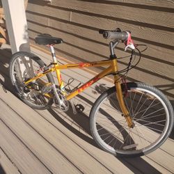 Trek Kids Bike 