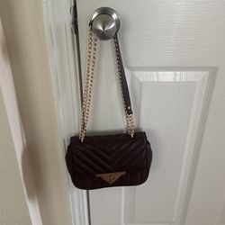 Aldo Chain Purse/crossbody