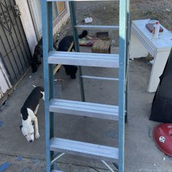 Werner Ladder 