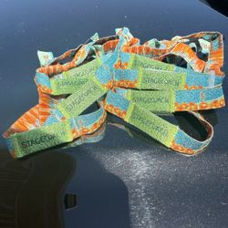 Stagecoach SUNDAY GA-$200 EACH