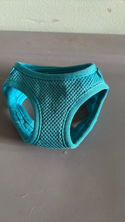 Teal Mesh Small Dog Harness