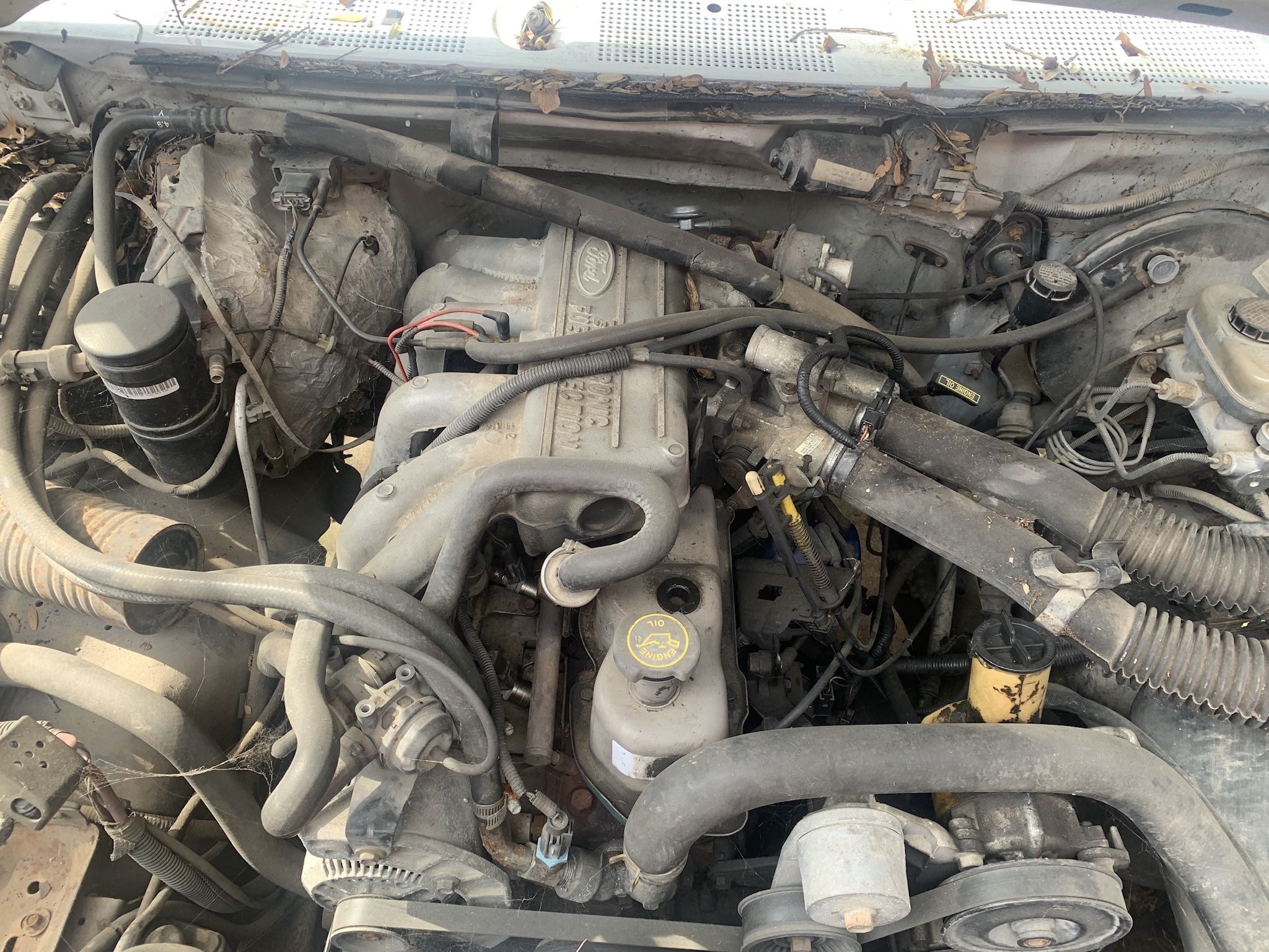 Ford 300ci 4.9 Engine