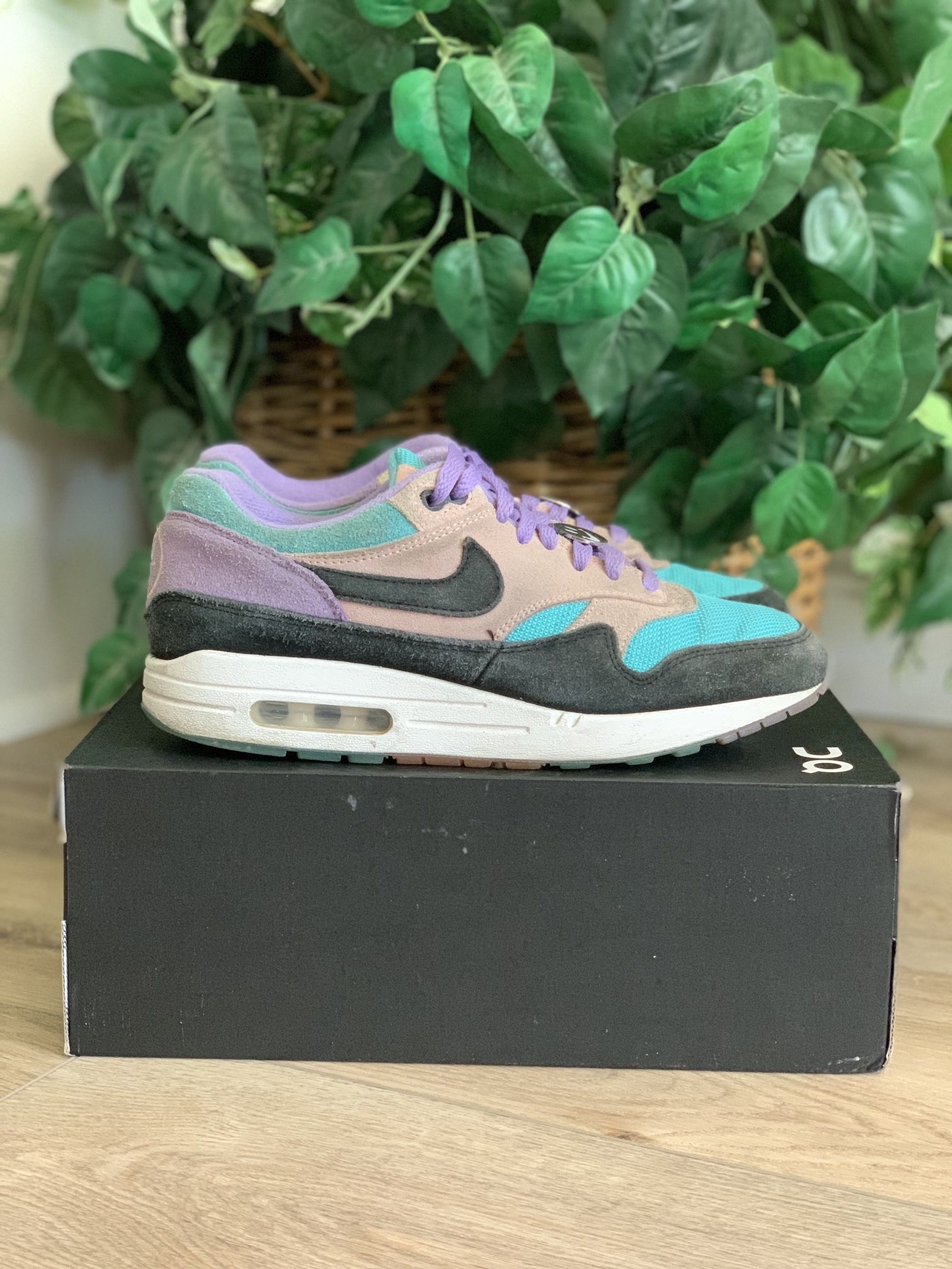 Men's Nike Air Max Have A Nike Day Purple Blue Coral BQ8929 500