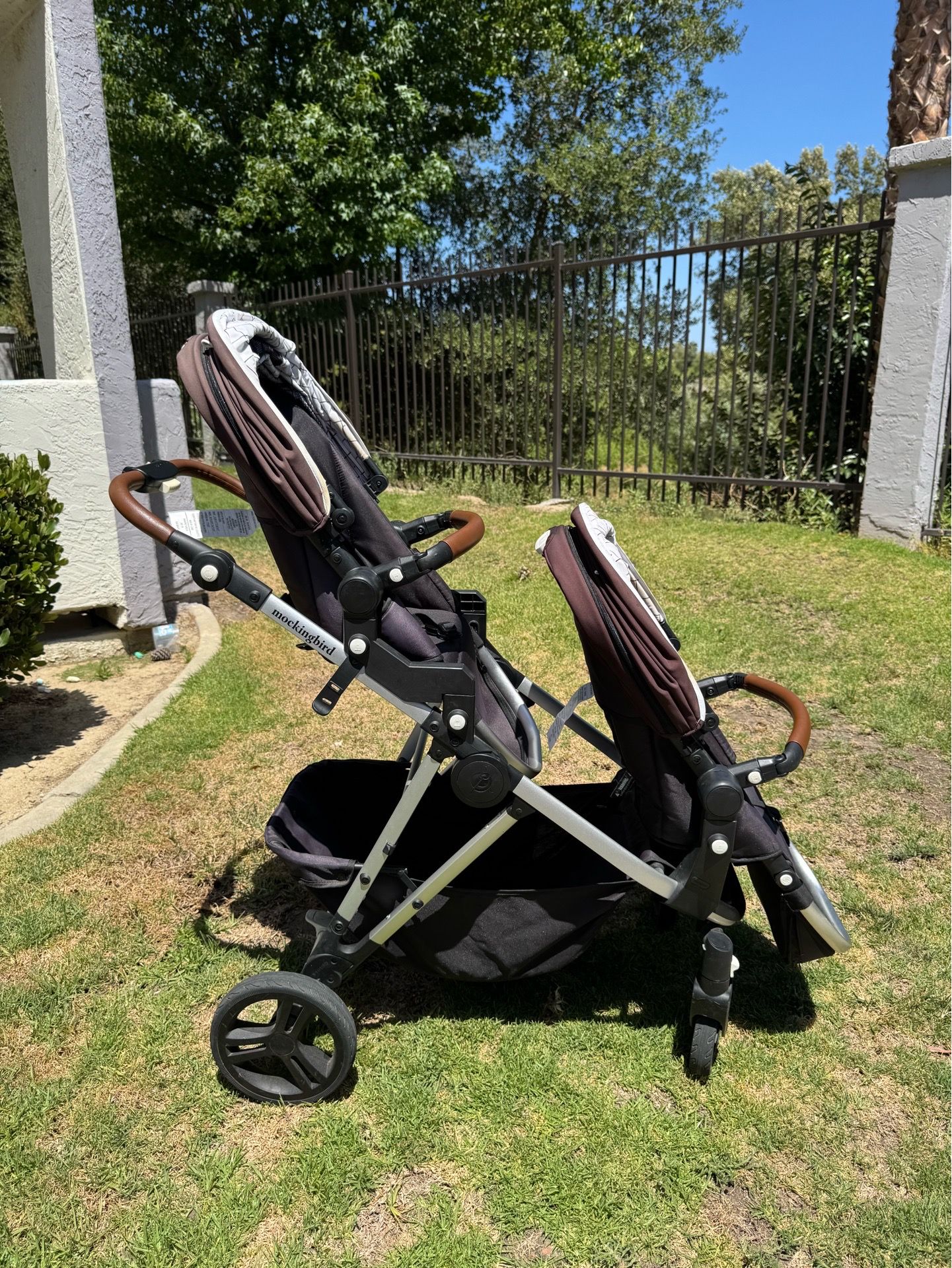 evenflo proseries litemax infant car seat Sport (Graphite Gray) Chartreuse/White - Dragonfly Larvae black bag LiteMax NXT accommodates infants waist:L