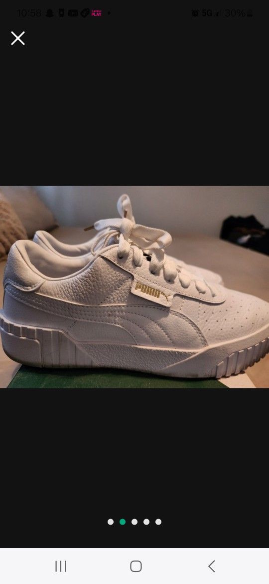 White Pumas