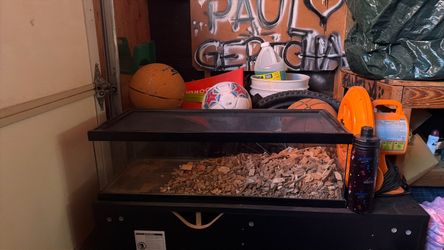 20 gallon tank