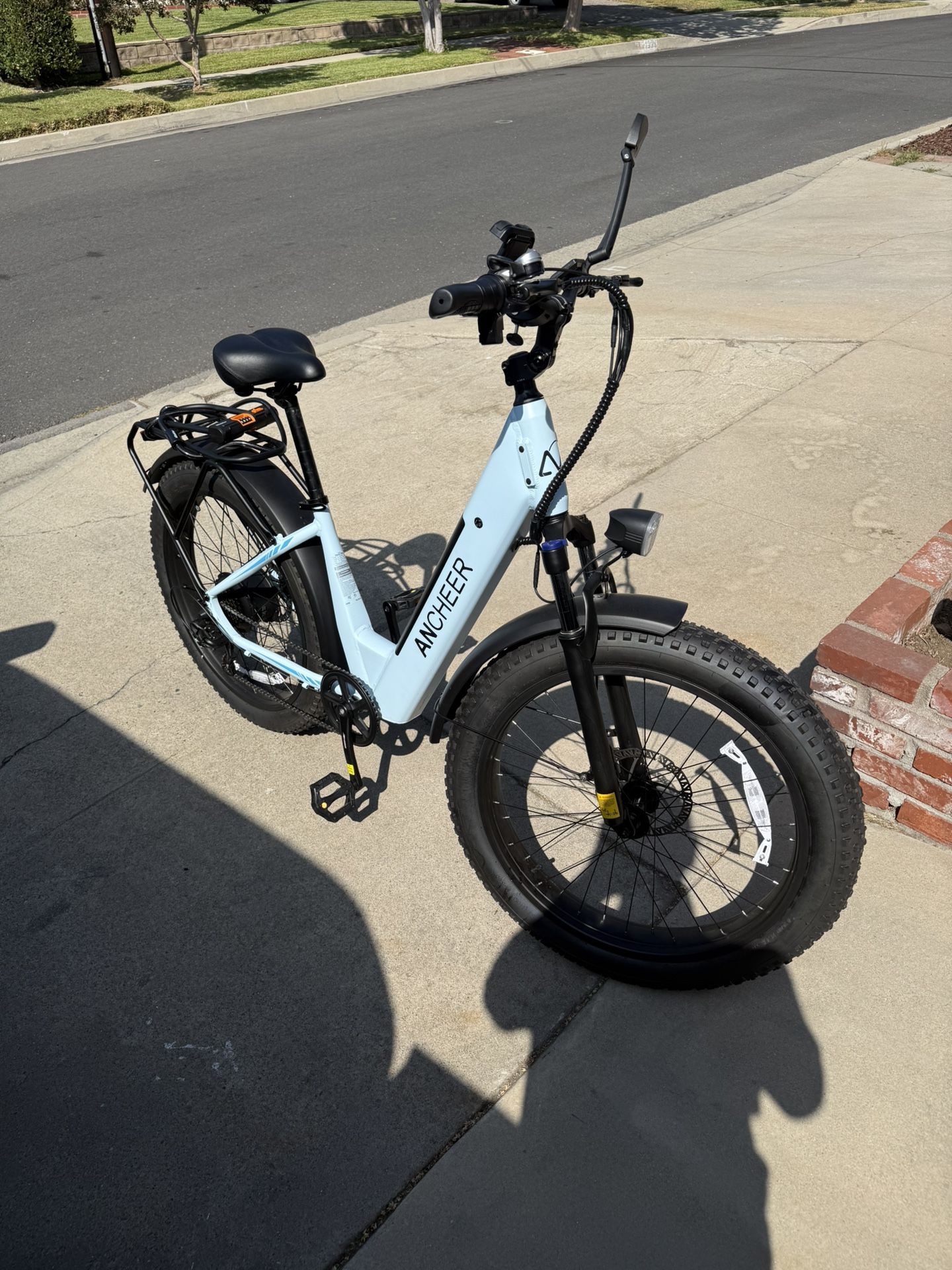 1000 Watt Electric Bike