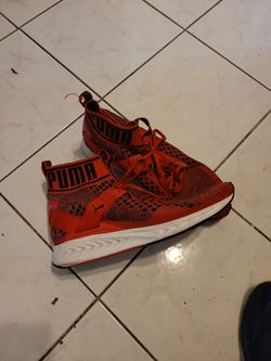 Puma Ignite Evoknit Red
