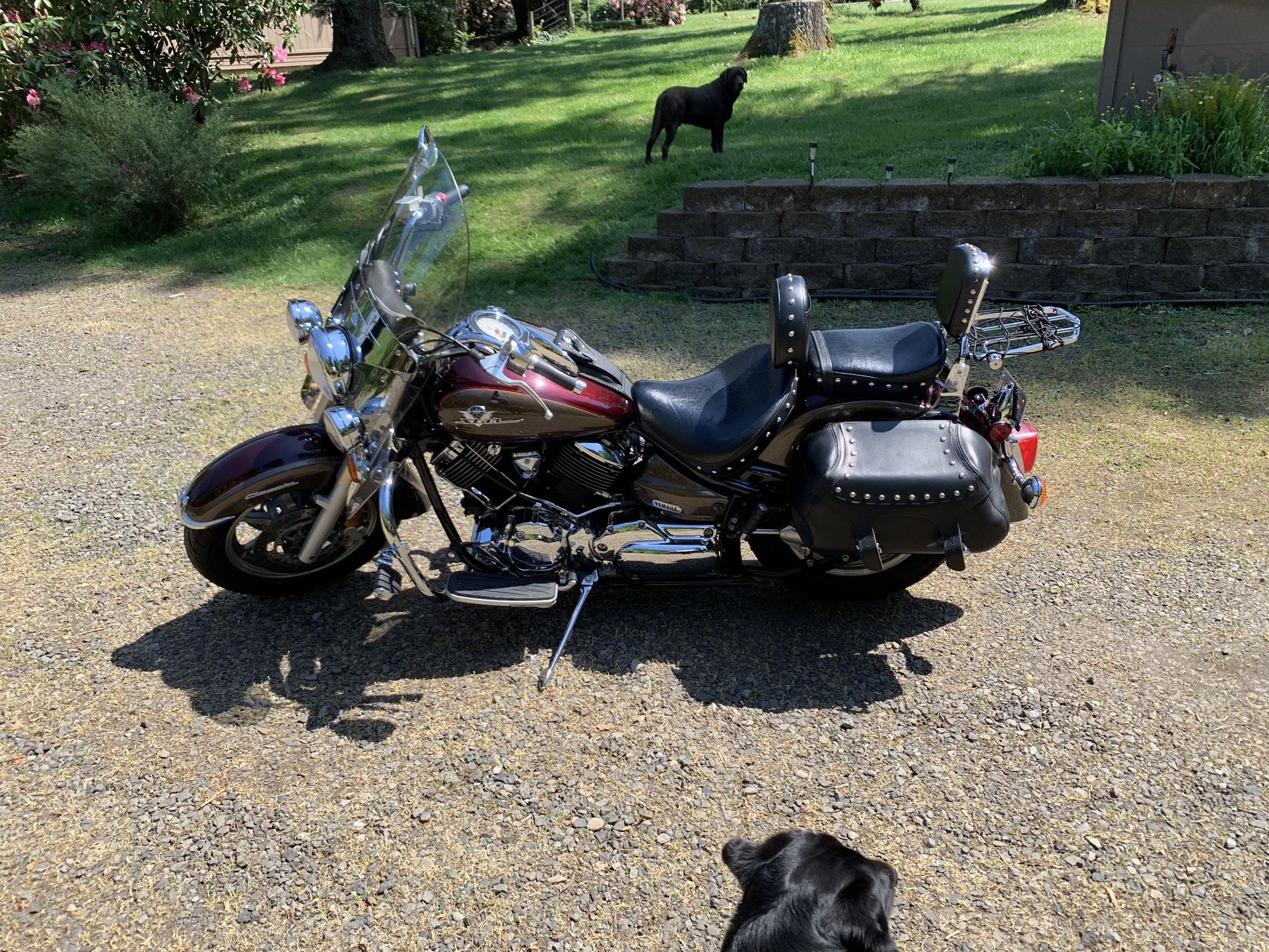 2003 Yamaha 1100 V Star Model XBS