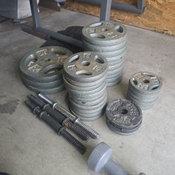 Variety Of Weight Plates & Workout Equipment 