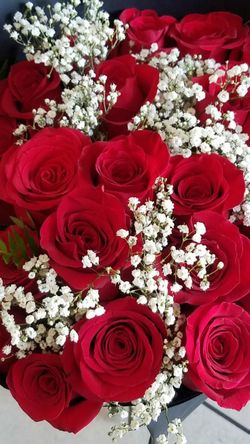 Especial 36 Rosas🌹🌹50 Dollars Only On Thursdays