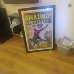 Framed Pic Spider