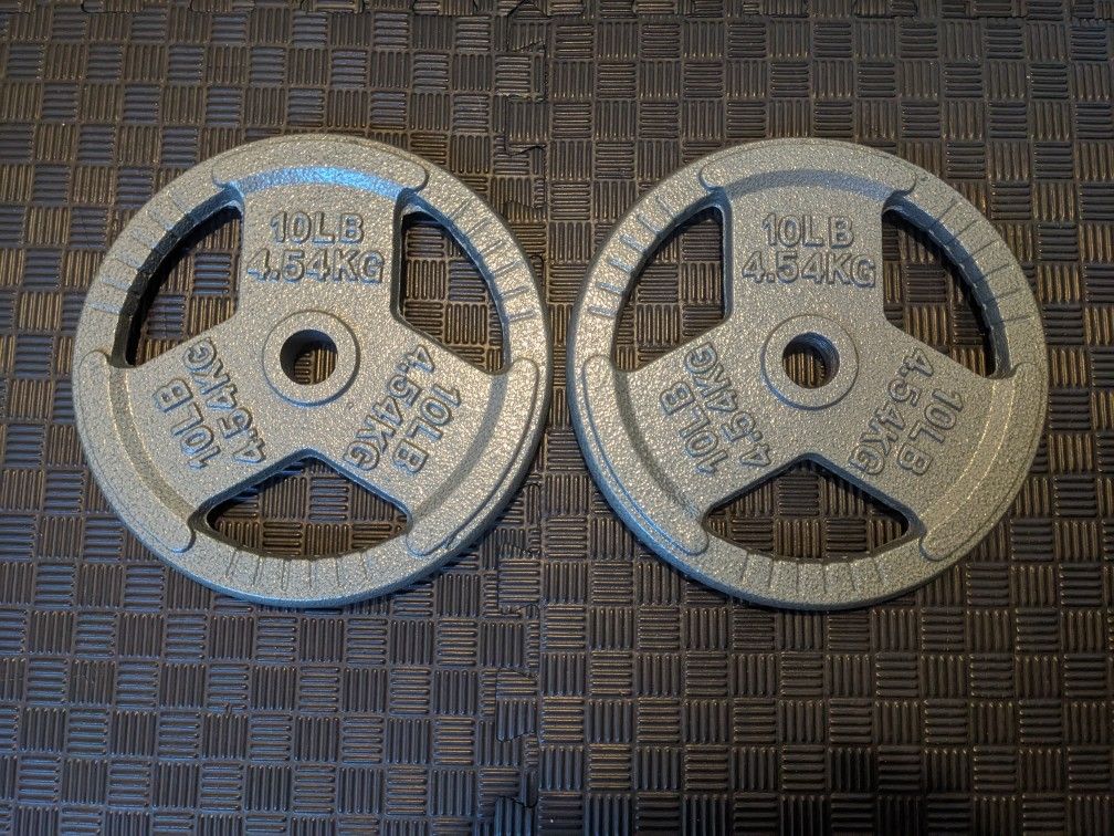 Two 10 pound weight plates 1-inch center hole