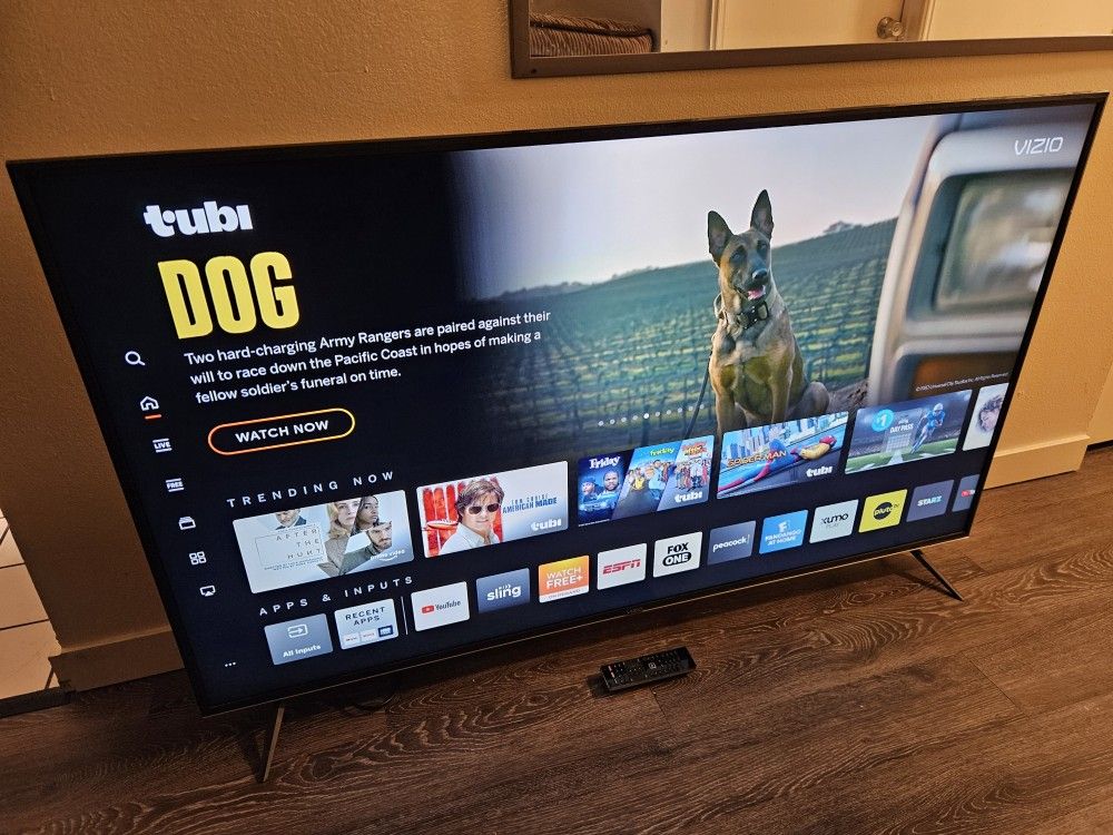 VIZIO E Series 65" Class UHD 4K Smart LED TV - HDR10, HLG, Dolby Vision - 120 Hz (Gaming, Sports) - Google Assistant & Amazon Alexa Control (MSRP $1k)