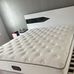 Brand New Mattress 