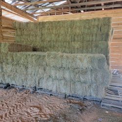 Hay For Sale