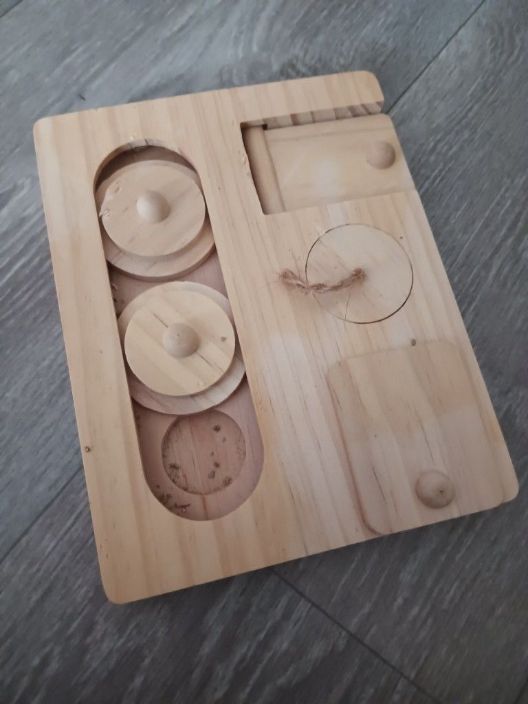 Piggie Enrichment Toy