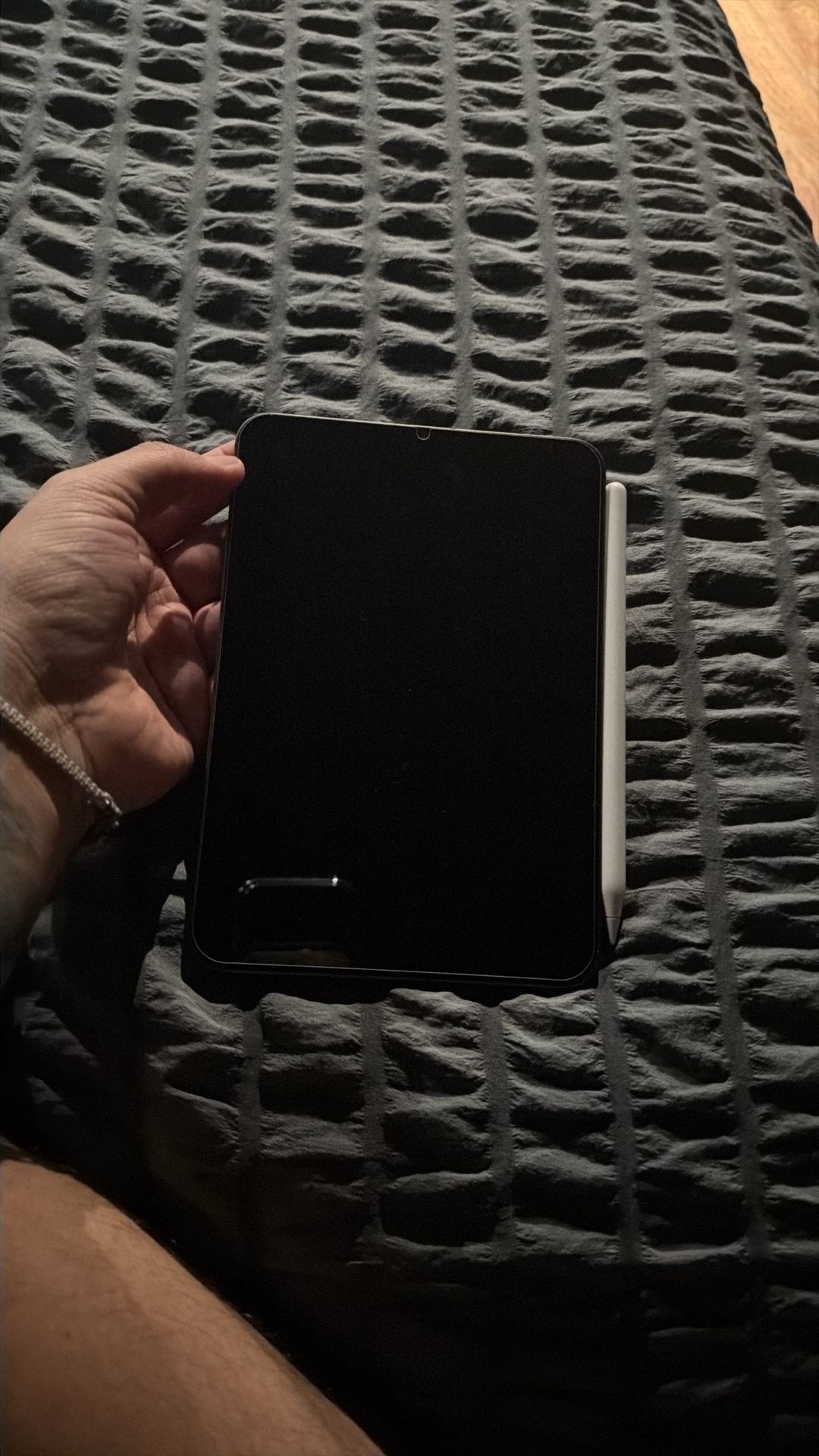 iPad Mini 6 & Apple Pen