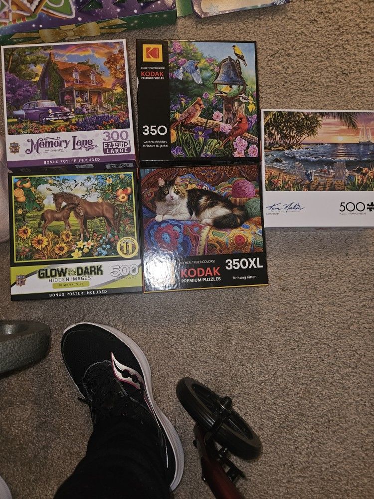 Adult Or Lots Of Pieces Puzzles