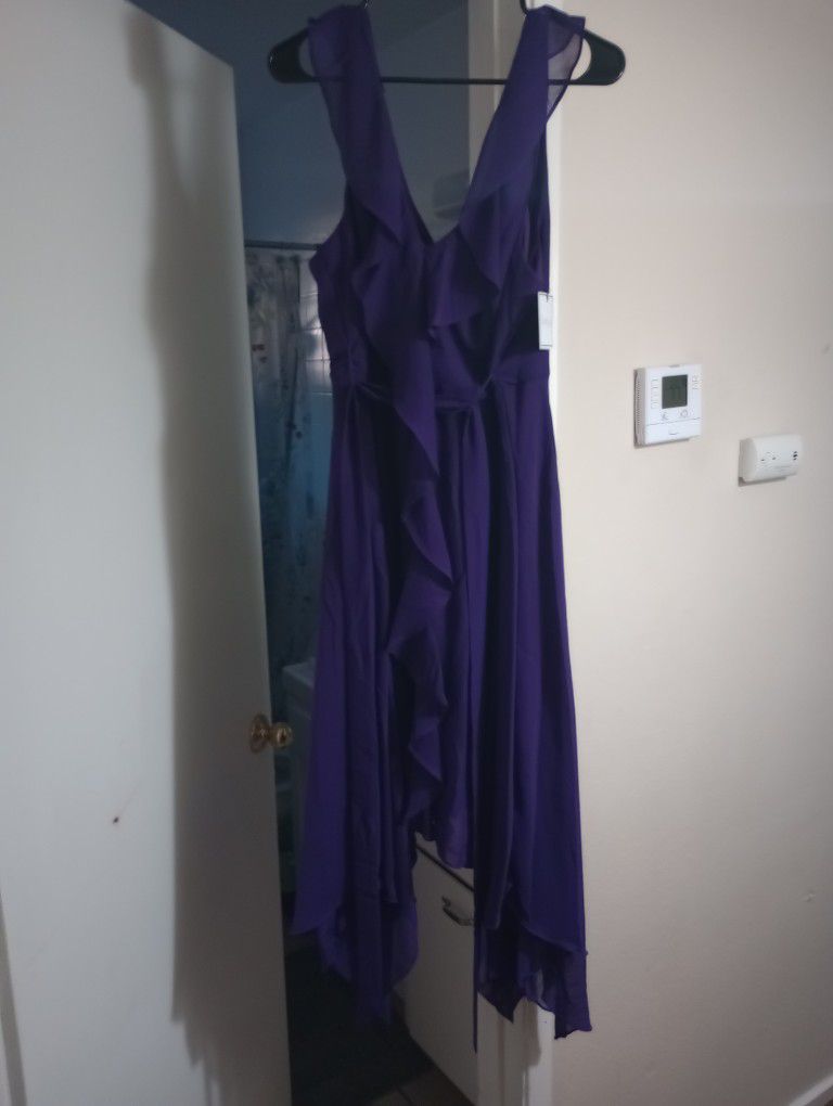 Dark Purple Dress 