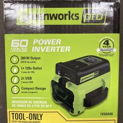 PRO 300-Watt 60-Volt Button Start Portable Power Inverter Generator New!