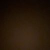 Lizbeth