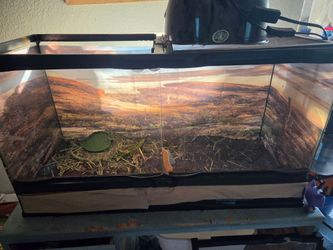 Glass Reptile Terrarium Tank with Desert Backdrop