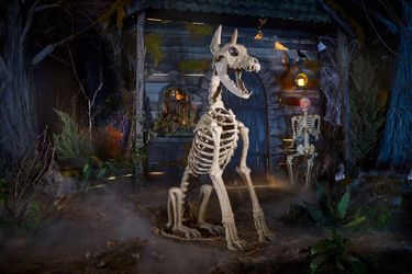 SKELLY SITTING DOG 5’