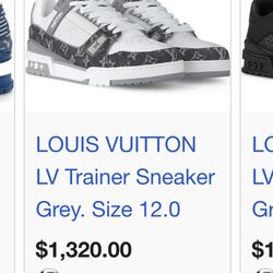 8.5 Louis Vuitton Shoes  
