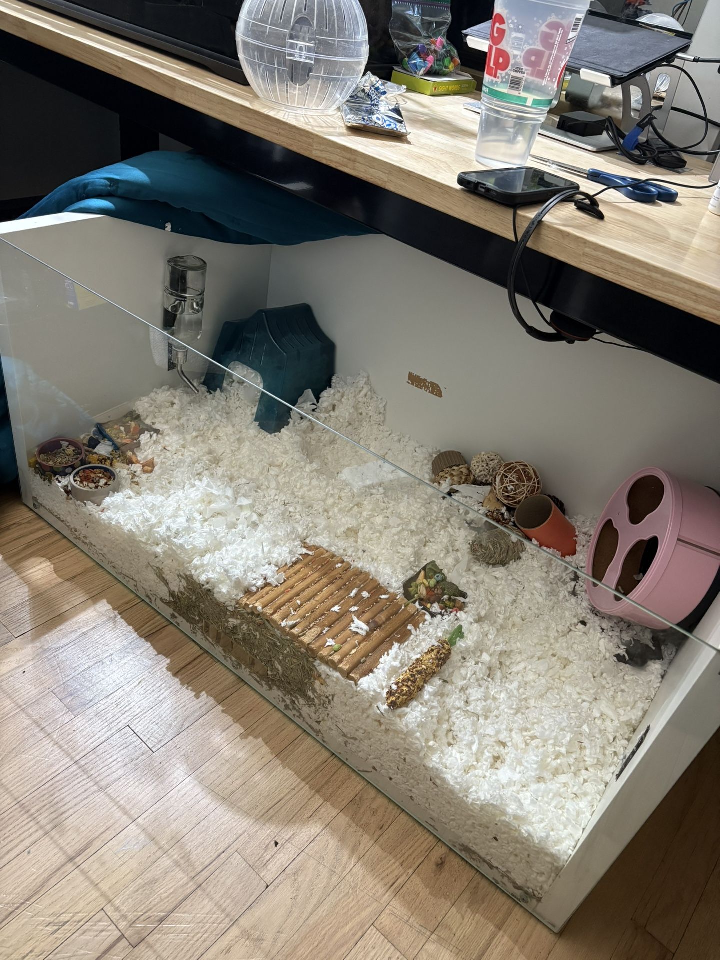 Hamster Set Up