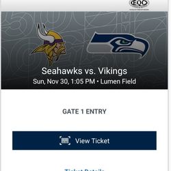 Seattle Seahawks VS Minnesota Vikings CHARTER SEATS