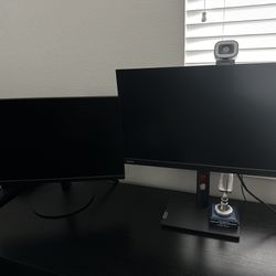 Thinkvision Dual Monitor Setup