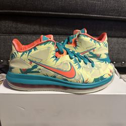 Brand New Nike lebron 9 low Palmer size 9.5 with box