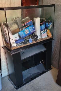 fish tank 40×25×12 and more