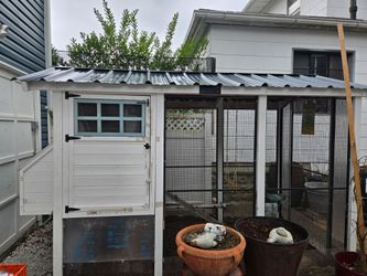 Chicken Coop
