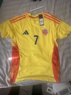 Colombia Luis Diaz #7 Soccer Jersey for Men Fan Version