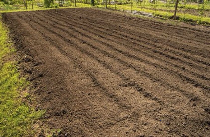 Garden Tilling 