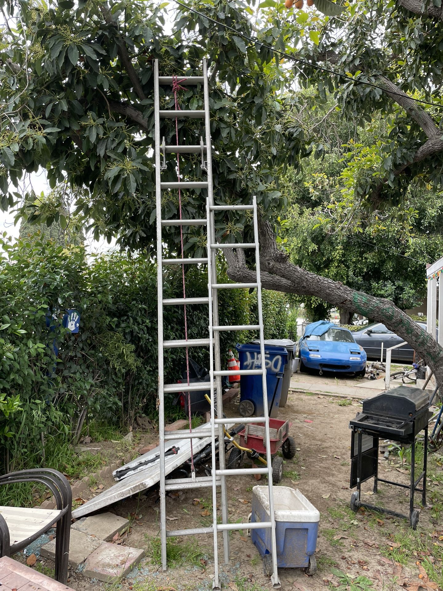 Ladder Set