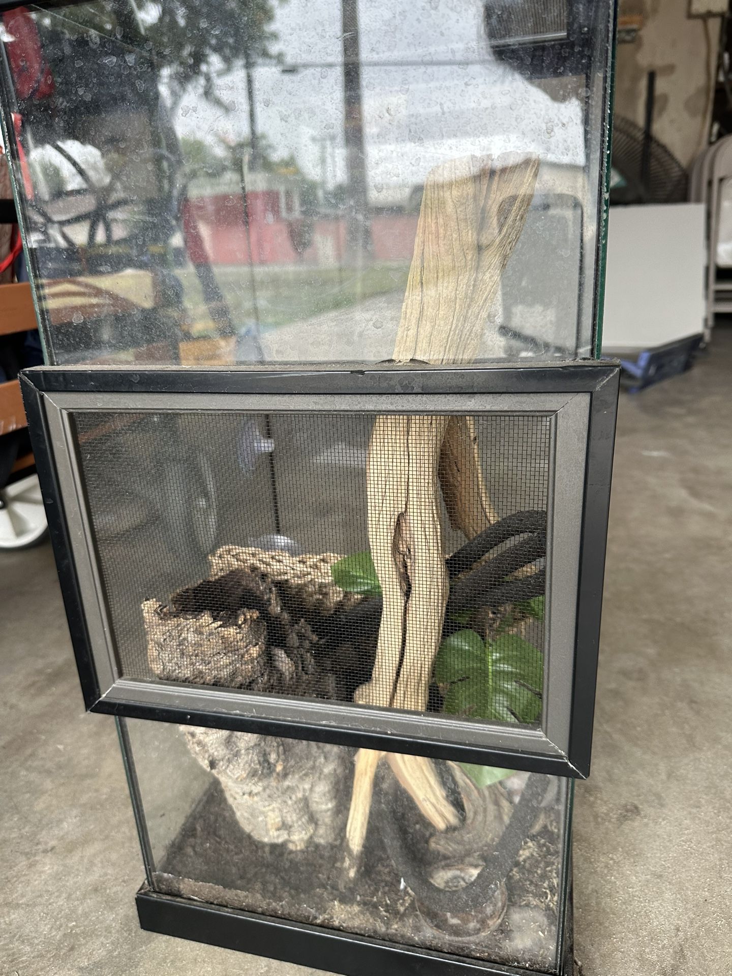 Small Glass Terrarium $100 OBO