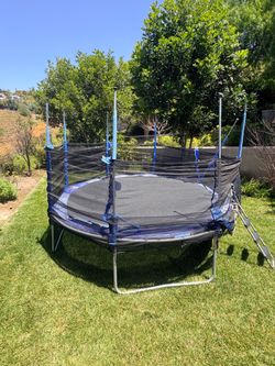 FREE Large trampoline with ladder
