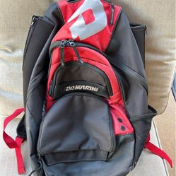 Baseball Bag